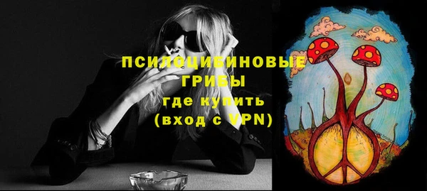 альфа пвп Горняк