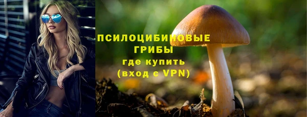 альфа пвп Горняк