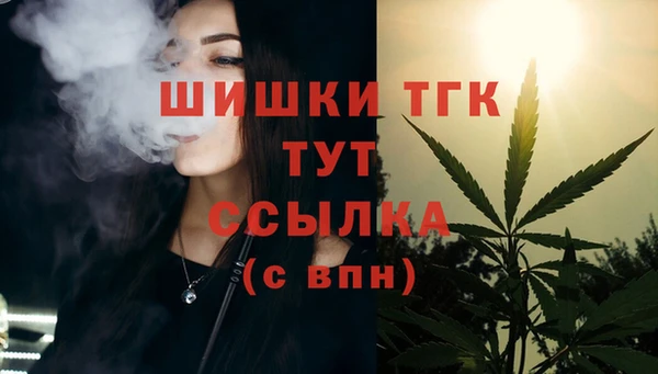 альфа пвп Горняк