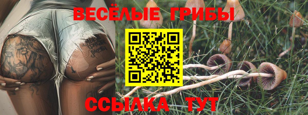 Галлюциногенные грибы прущие грибы  Вход с VPN  Псилоцибиновые грибы Magic Shrooms  Междуреченск 