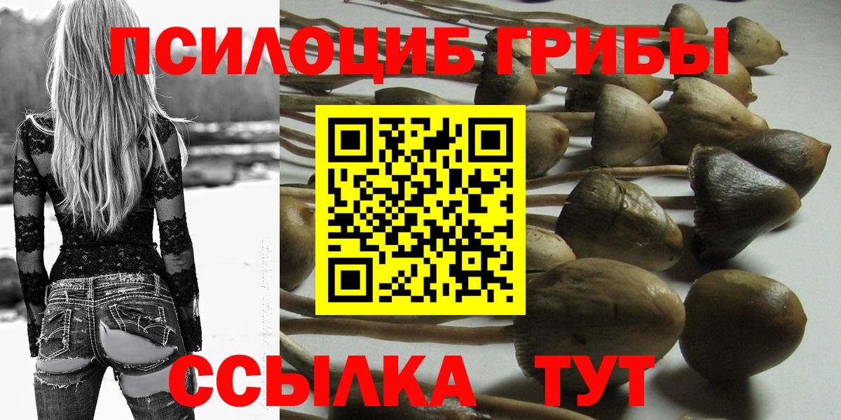 Псилоцибиновые грибы ЛСД Междуреченск